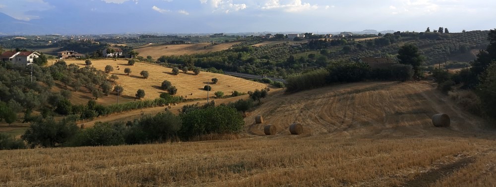 provincia pescara vino