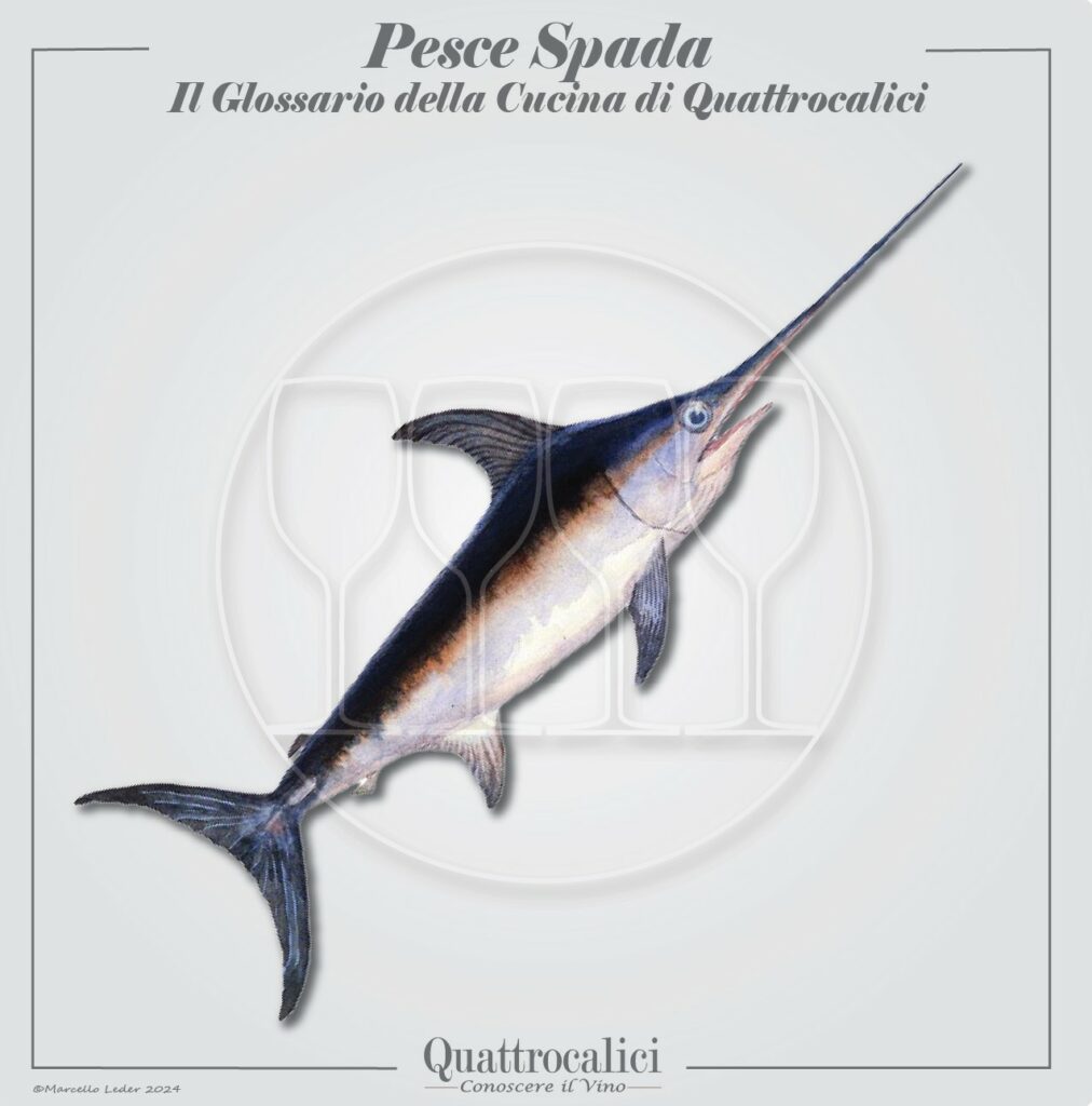 il pesce spada in cucina e con i vini