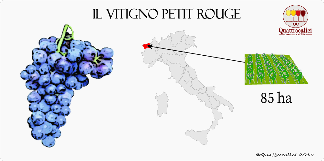 vitigno petit rouge