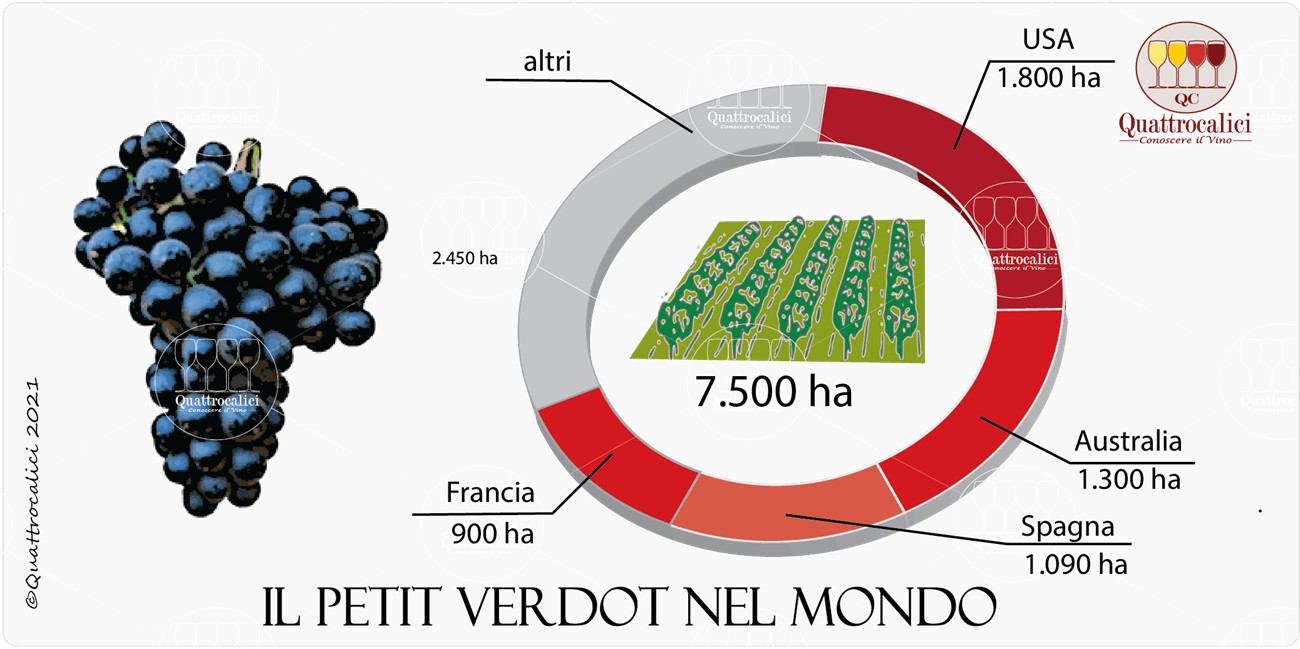 petit verdot nel mondo