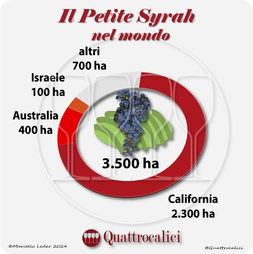 Il Petite Syrah nel mondo