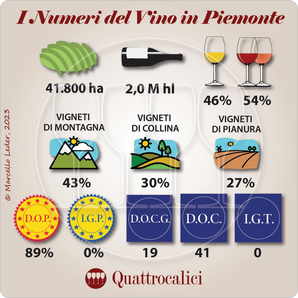 i numeri del vino in piemonte