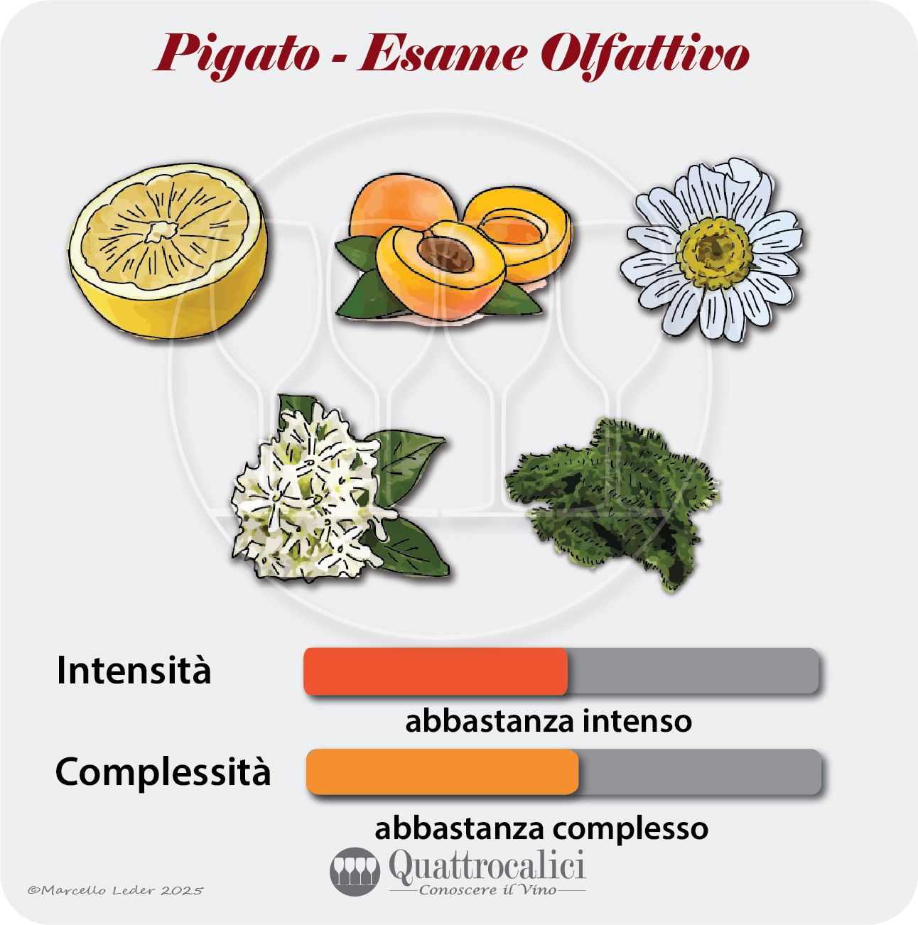 L'esame olfattivo dei vini Pigato