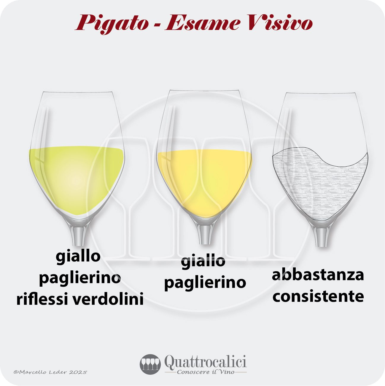 L'esame visivo dei vini Pigato