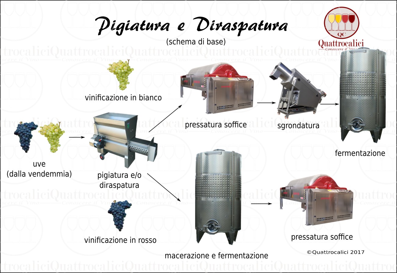 pigiatura e diraspatura