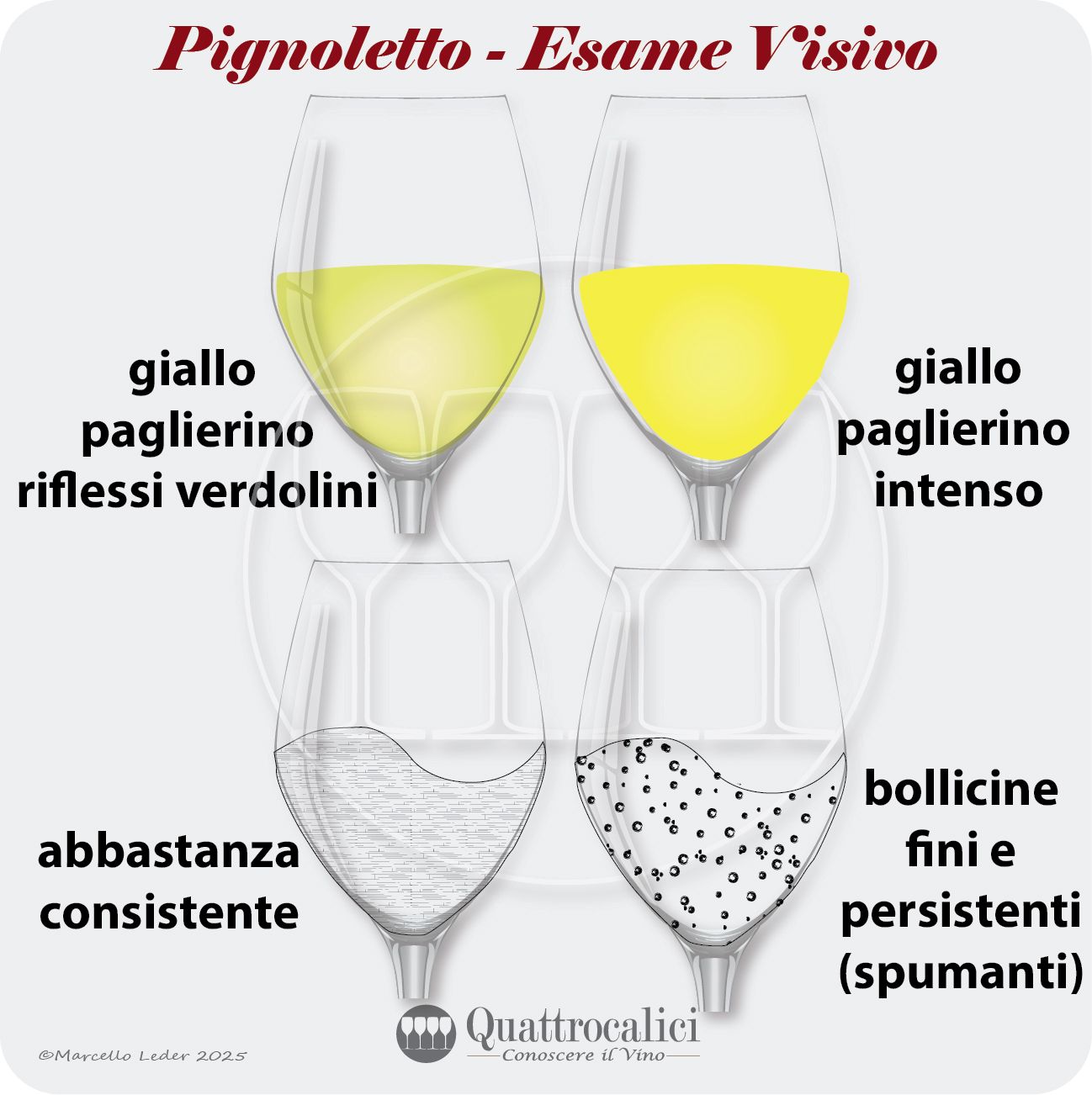 L'esame visivo dei vini Pignoletto