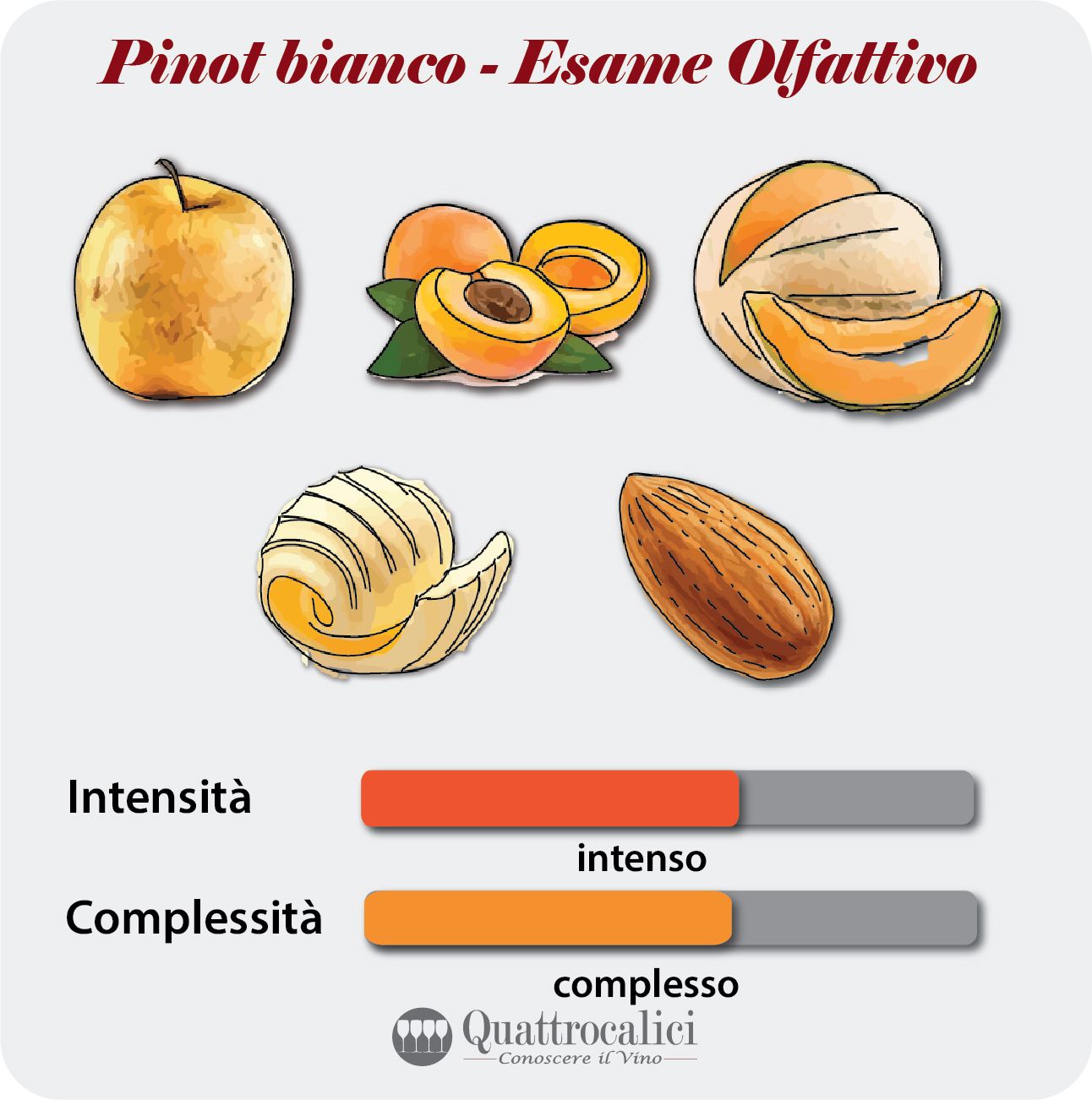 L'esame olfattivo dei vini Pinot biancO