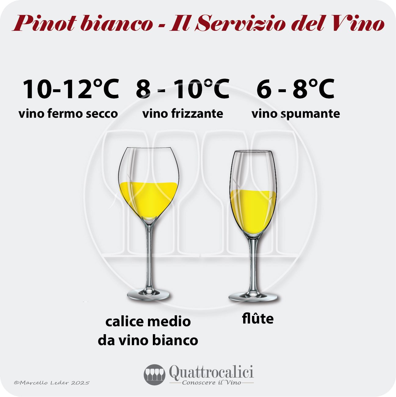 Il servizio dei vini Pinot bianco