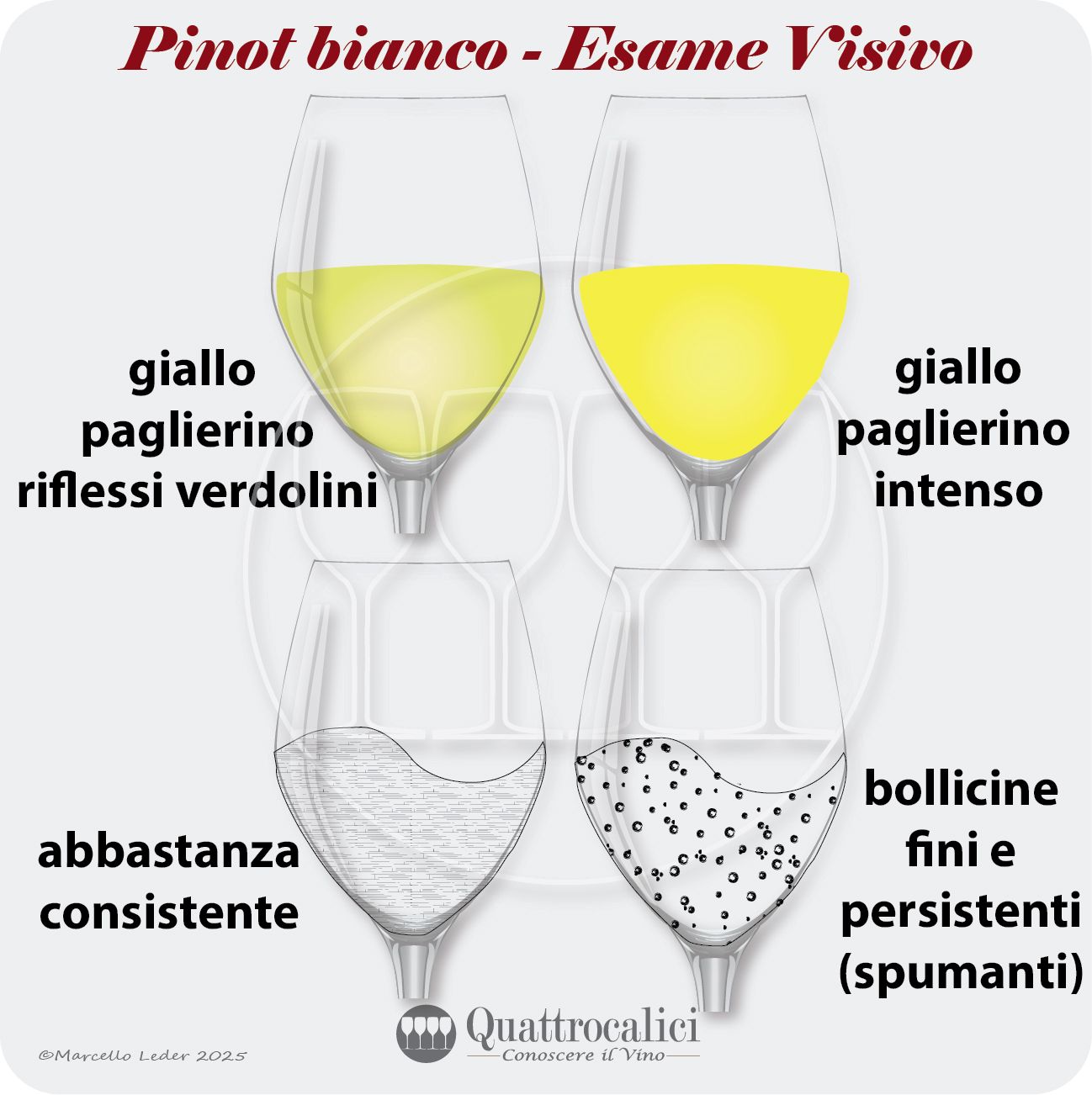 L'esame visivo dei vini Pinot bianco