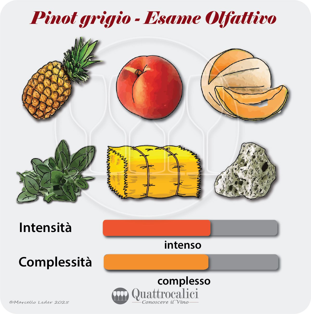 L'esame olfattivo dei vini Pinot grigio