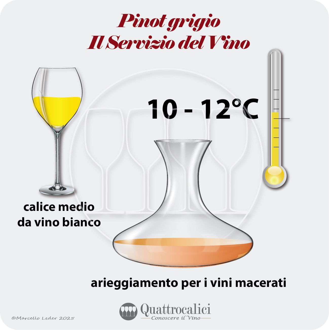 pinot-grigio-servizio