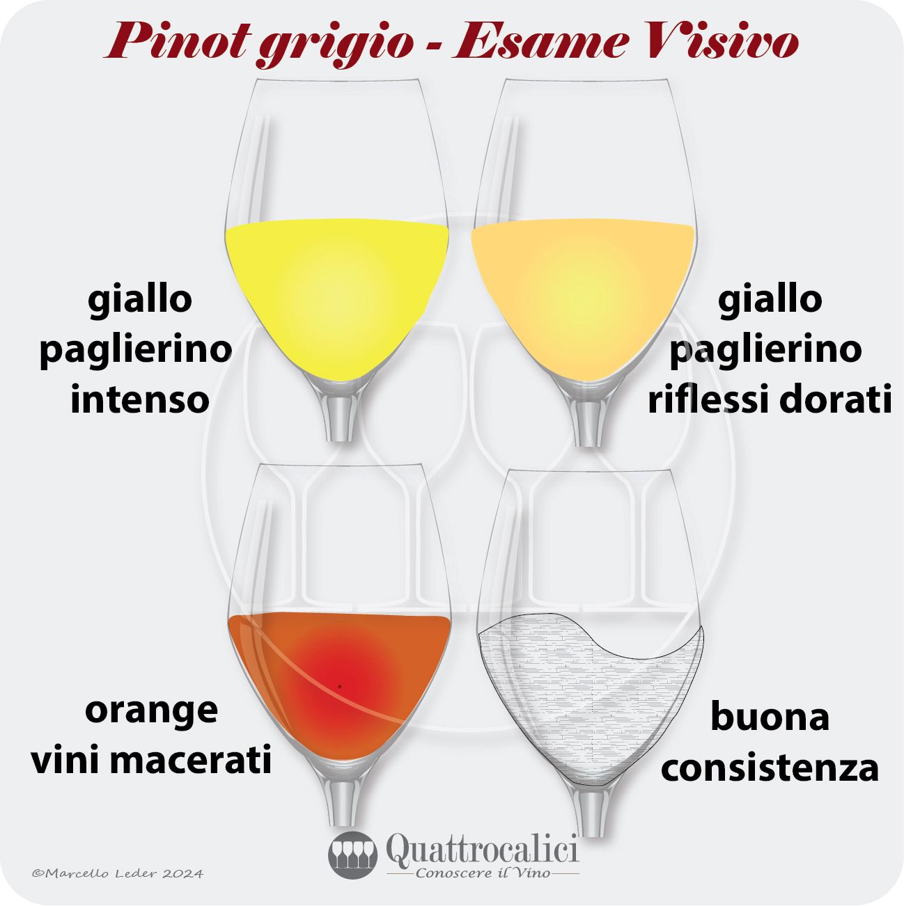 L'esame visivo dei vini Pinot grigio