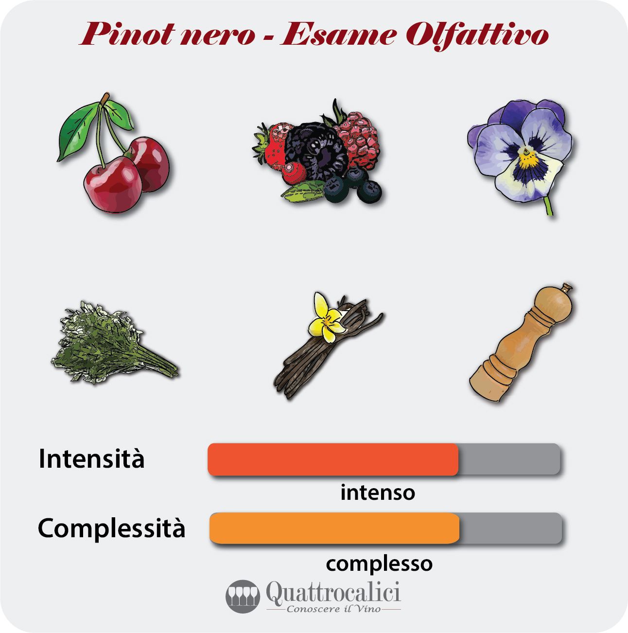 L'esame olfattivo dei vini Pinot nero