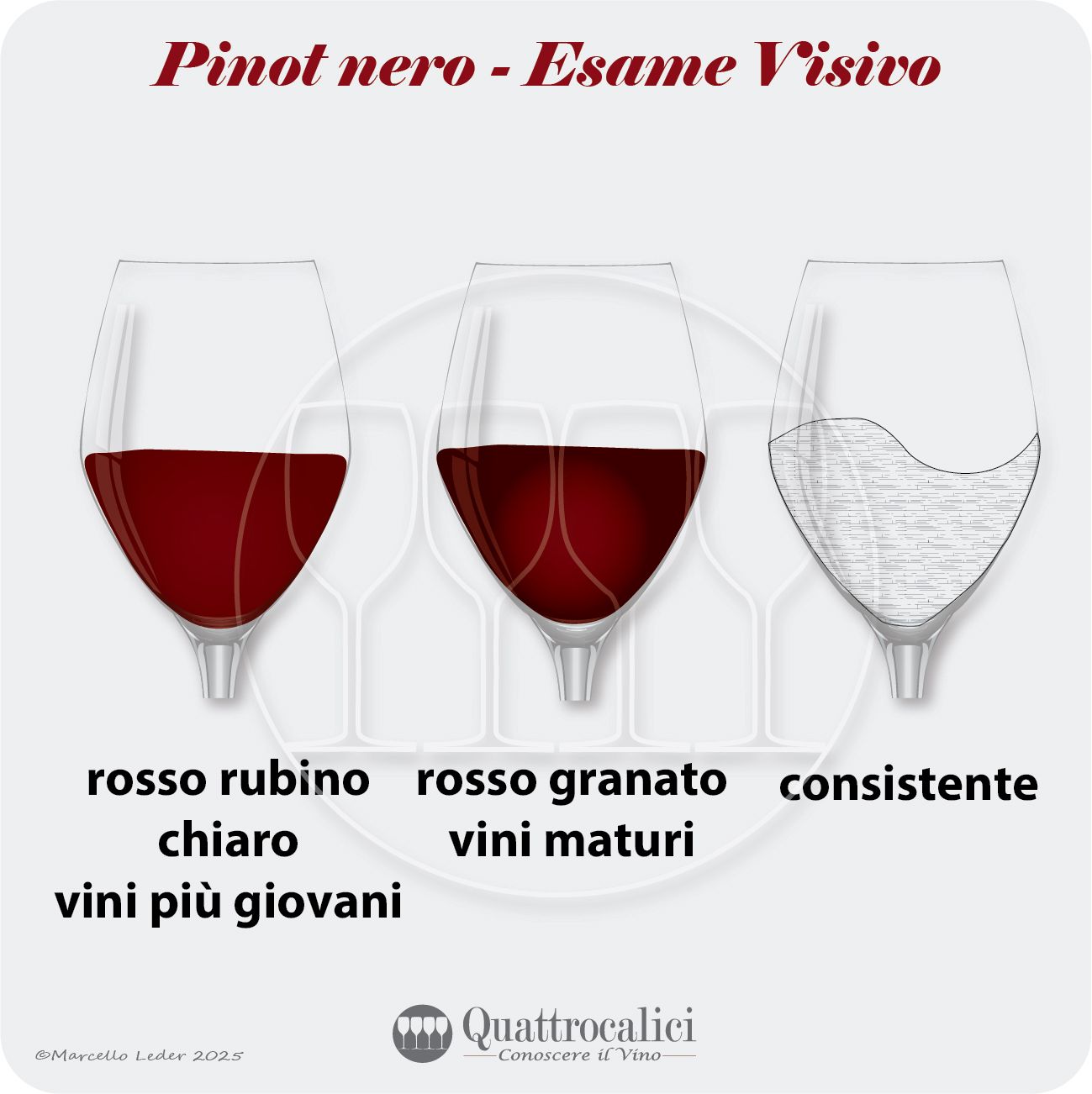 L'esame visivo dei vini Pinot nero