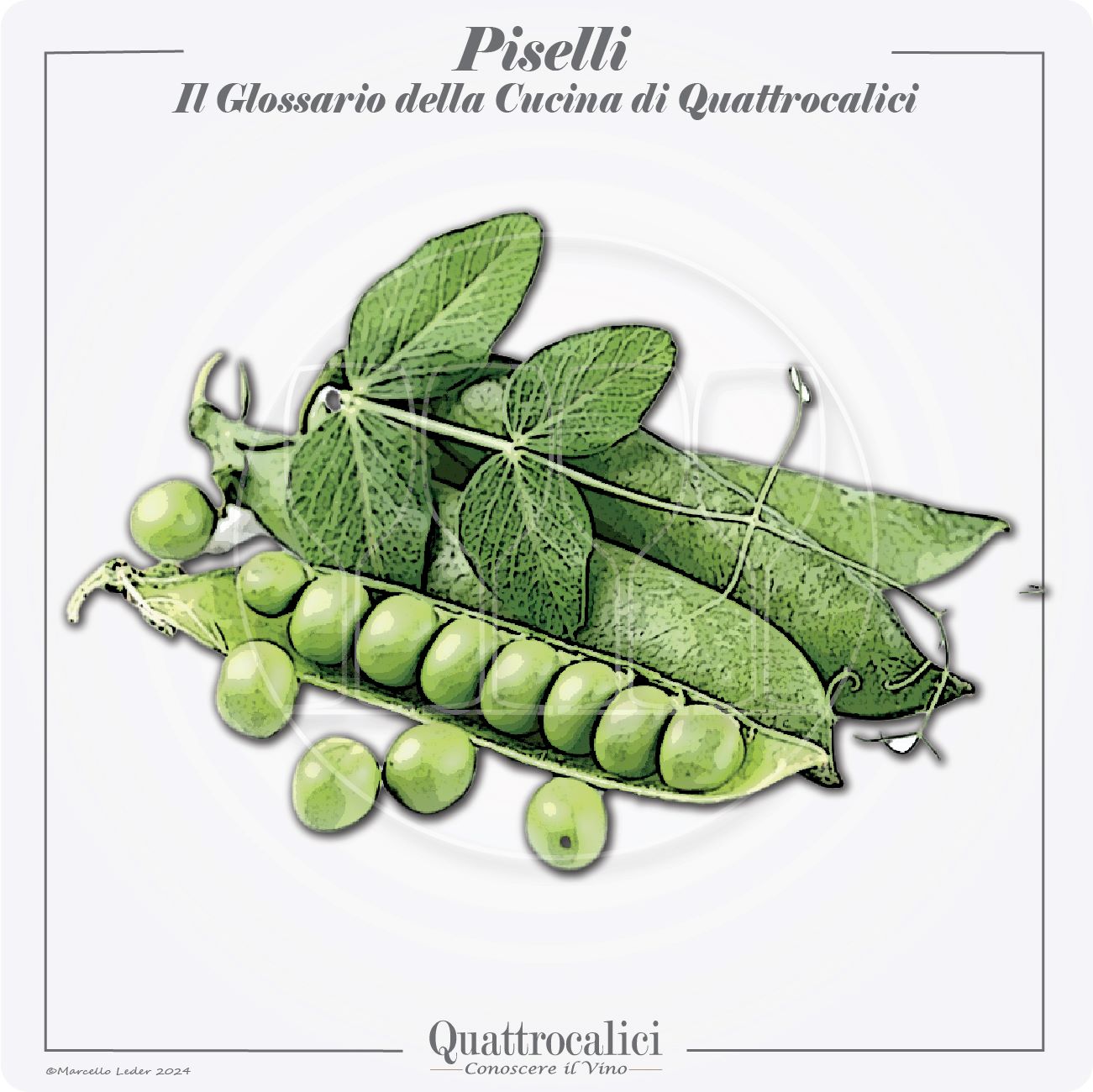 i piselli in cucina e con il vino