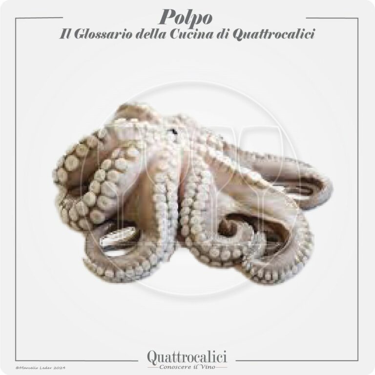 il polpo in cucina