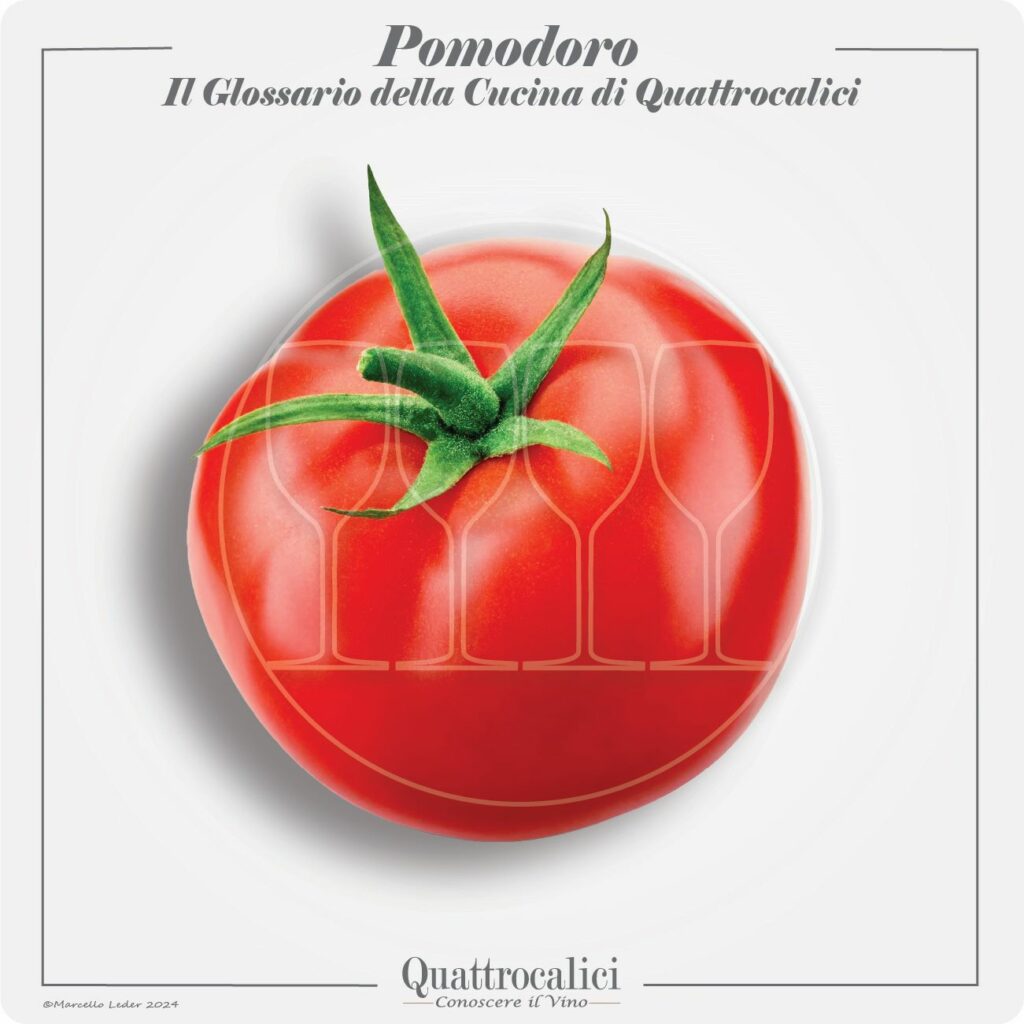 il pomodoro in cucina e con i vini