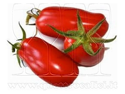 Pomodoro di San Marzano dell’Agro Sarnese-Nocerino DOP