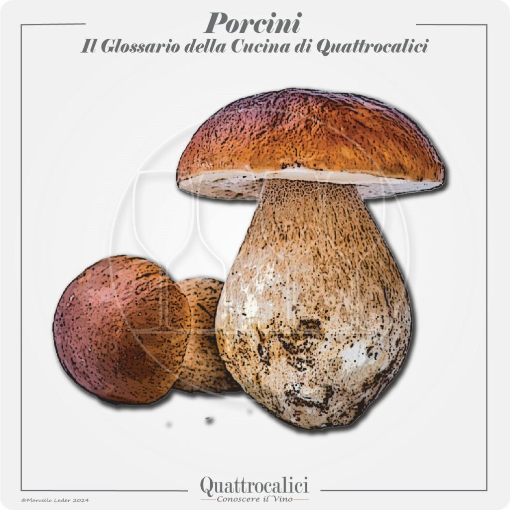 i porcini in cucina