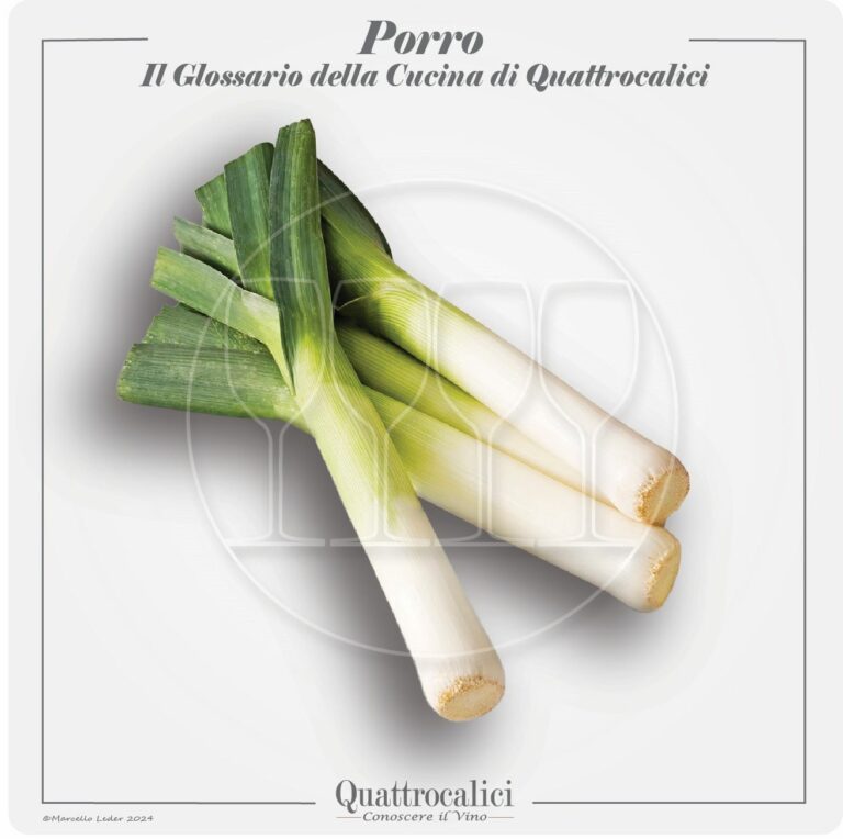 il porro in cucina e con i vini