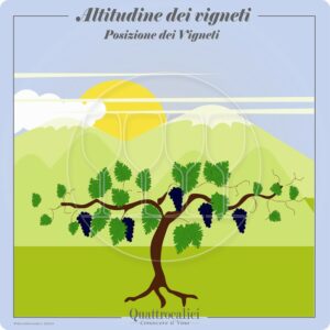 Altitudine dei vigneti