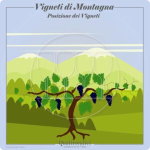 Vigneti di montagna