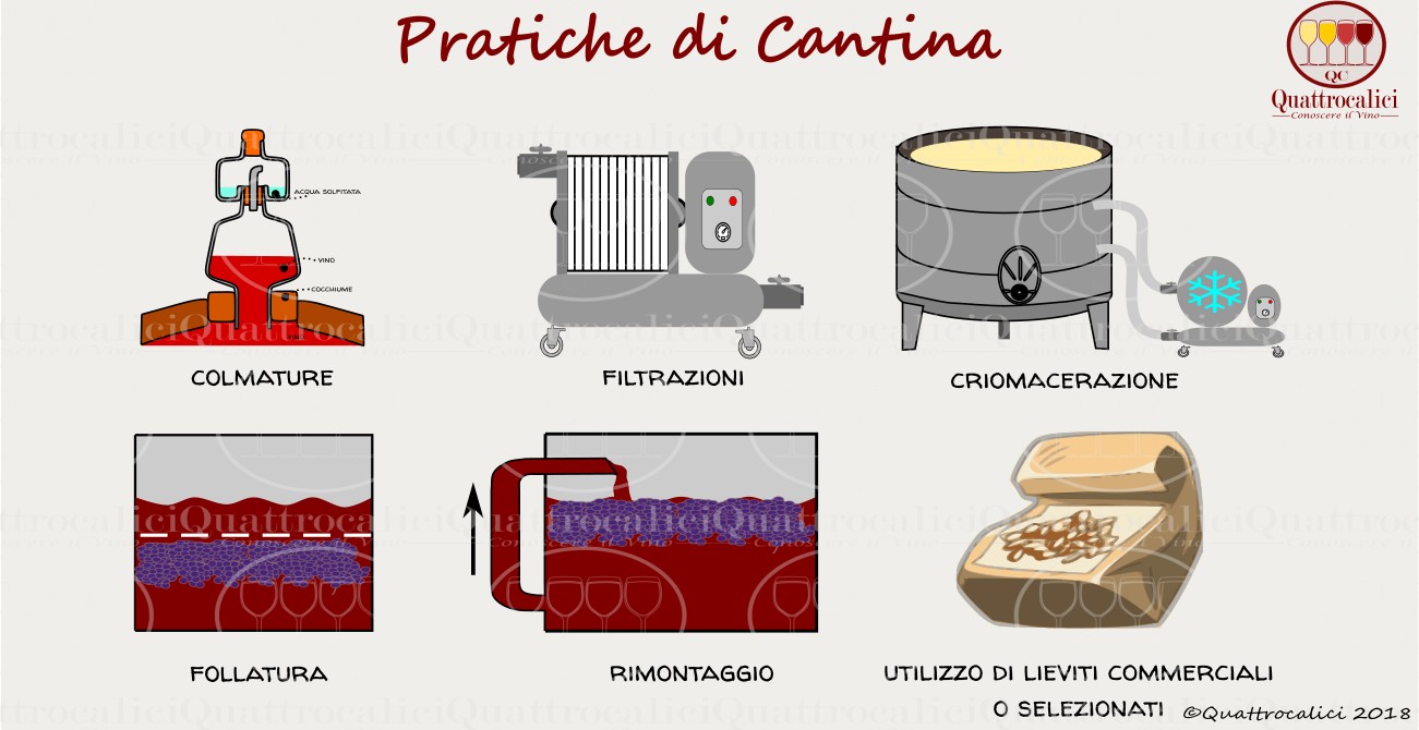 pratiche di cantina