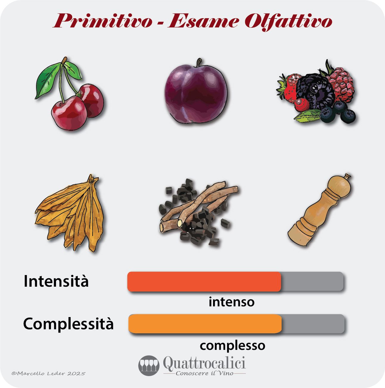 L'esame olfattivo del vino Primitivo