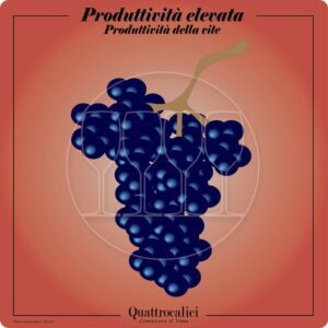 Vitigni dalla produttività elevata