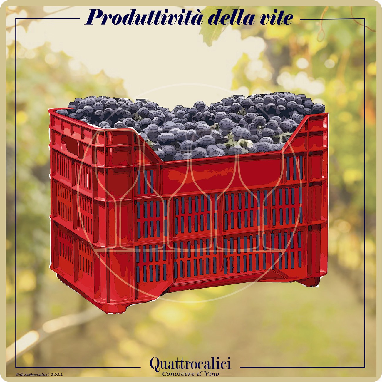 produttività della vite