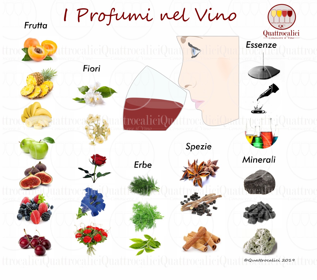 Profumi - Descrittori Olfattivi del Vino