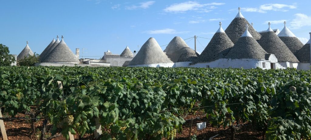 Il vino in puglia