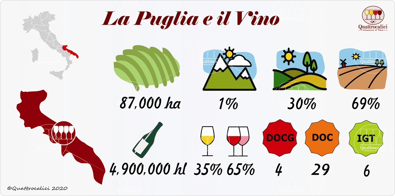 vino e vini in puglia