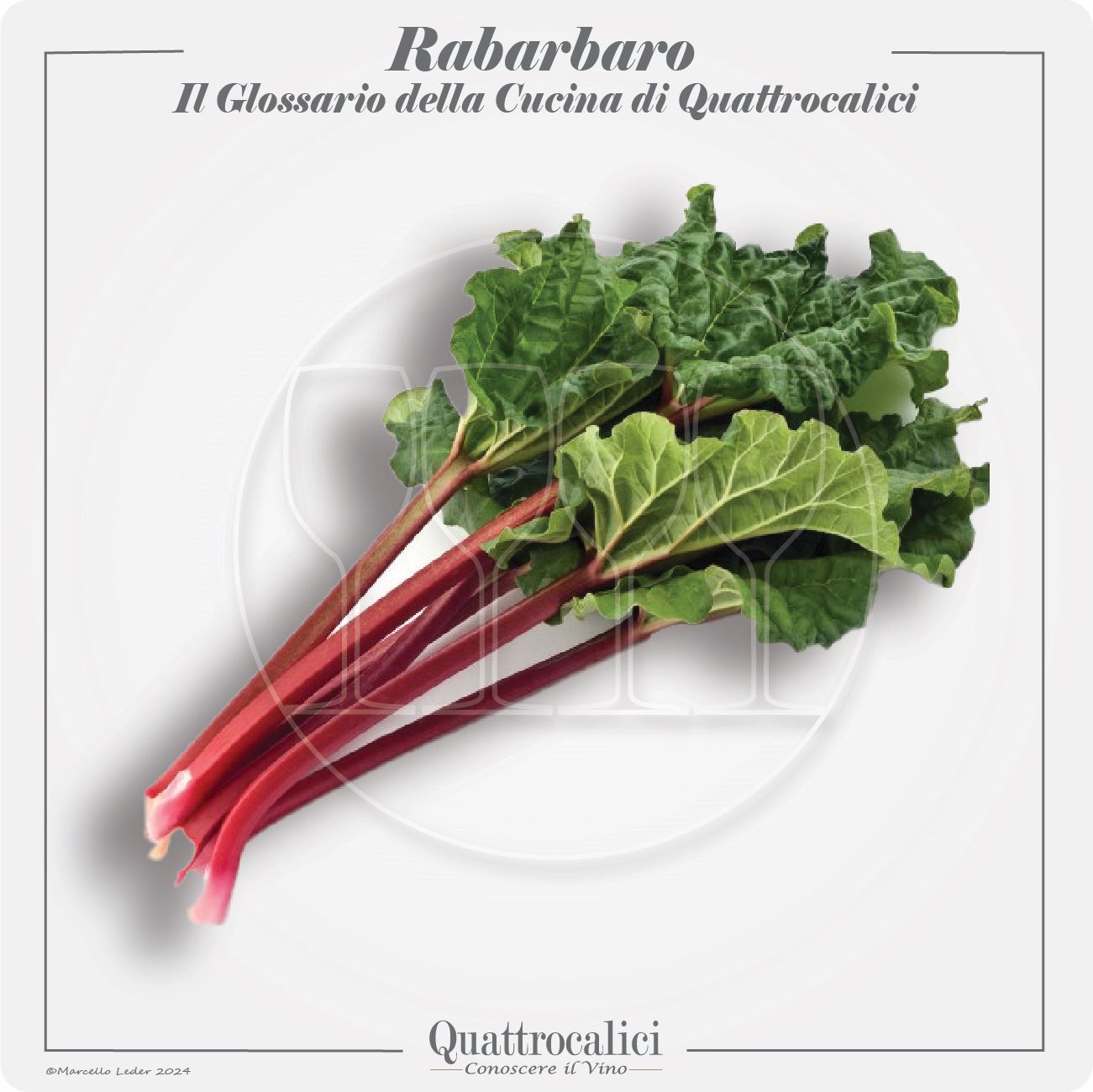 il rabarbaro in cucina e con i vini