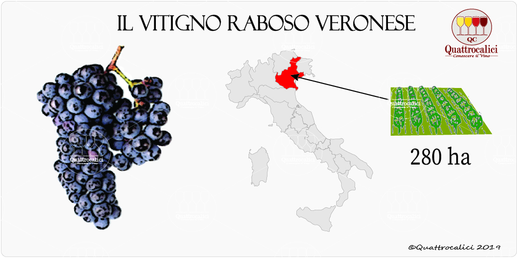 vitigno raboso veronese