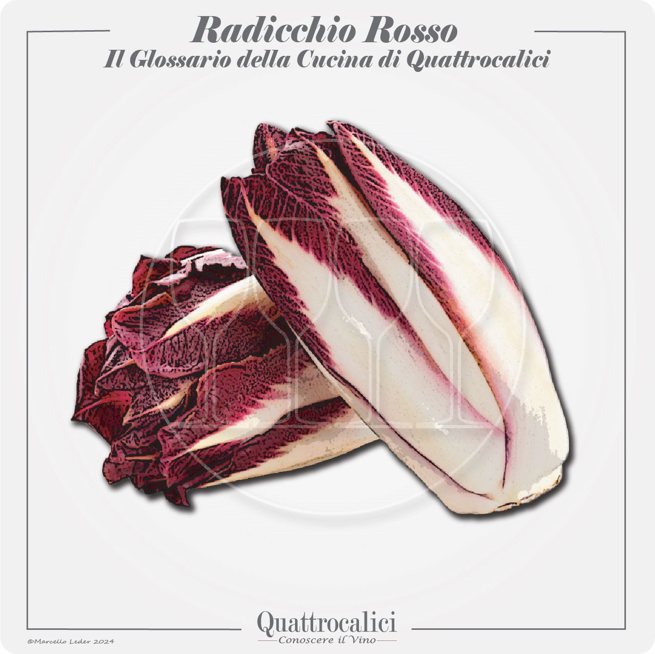 il radicchio rosso in cucina e con i vini