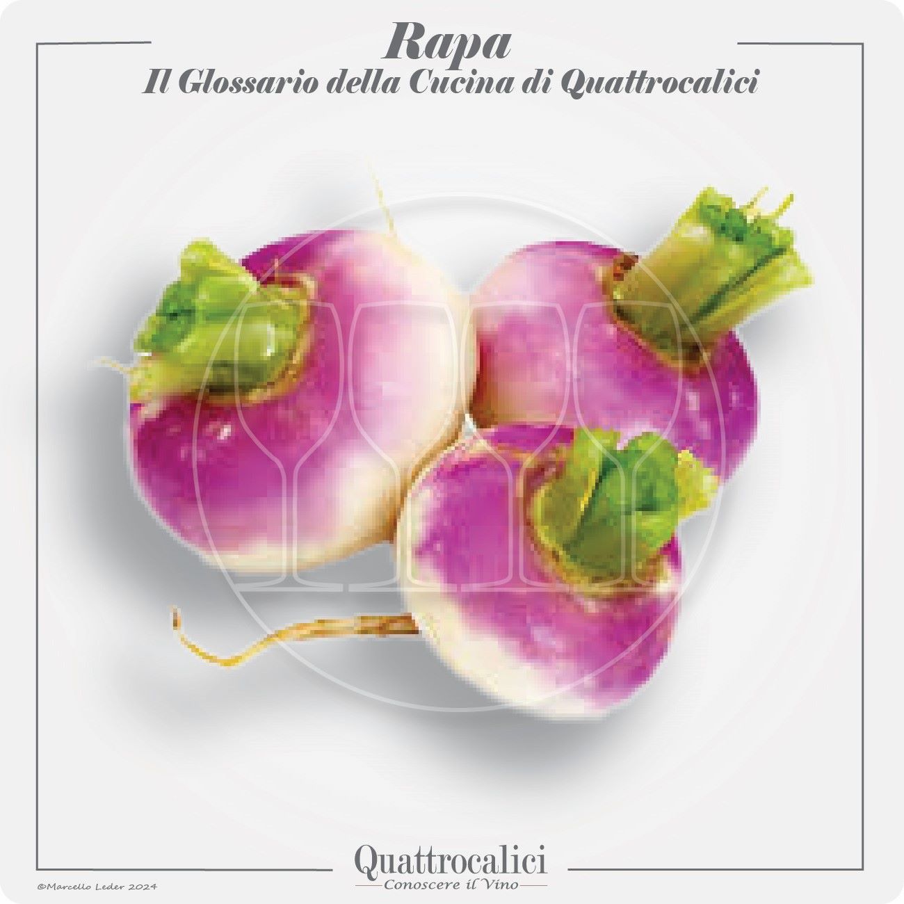 la rapa in cucina e con i vini