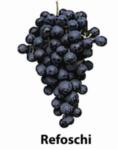 refoschi famiglia vitigni