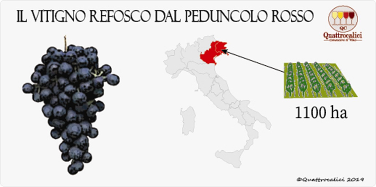 vitigno refosco peduncolo rosso
