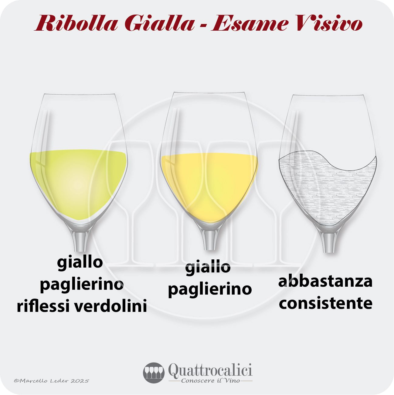 L'esame visivo dei vini Ribolla gialla