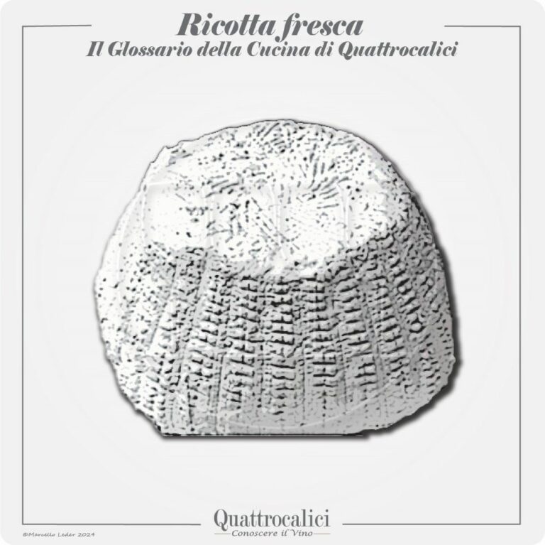 la ricotta fresca e il suo abbinamento ai vini