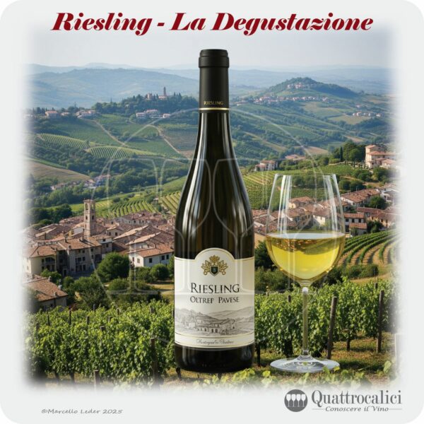 Riesling - La Degustazione - Quattrocalici