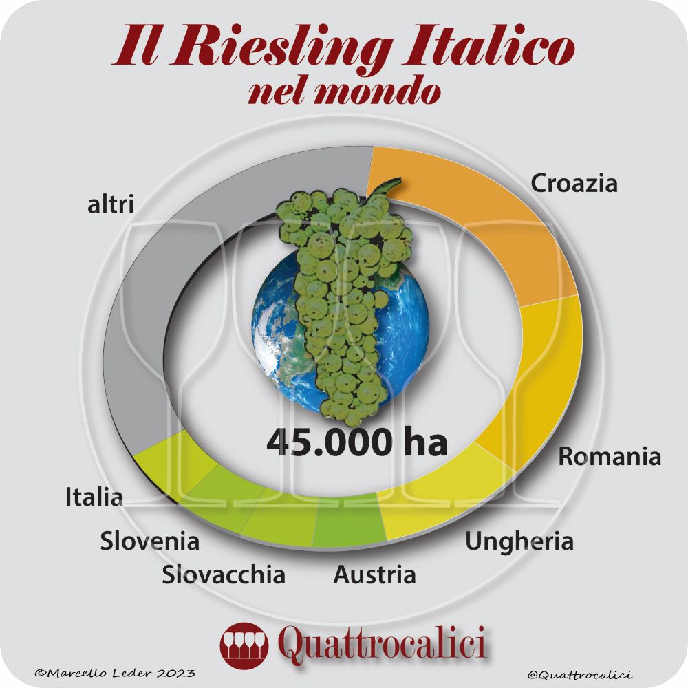 Il rieslling italico nel mondo