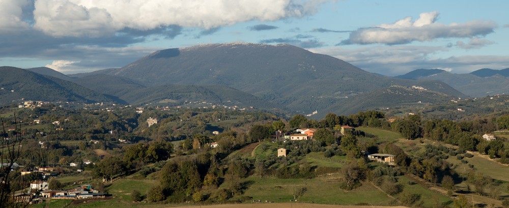 provincia rieti vino