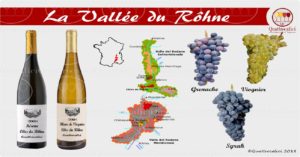 Valle del Rodano - I vini