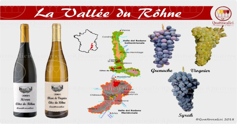 Valle del Rodano - vino
