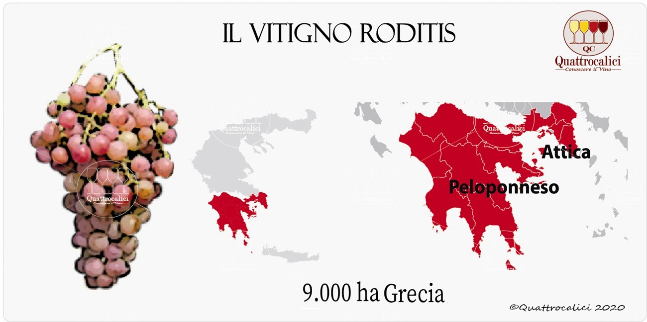 vitigno roditis