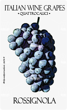 rossignola vitigno