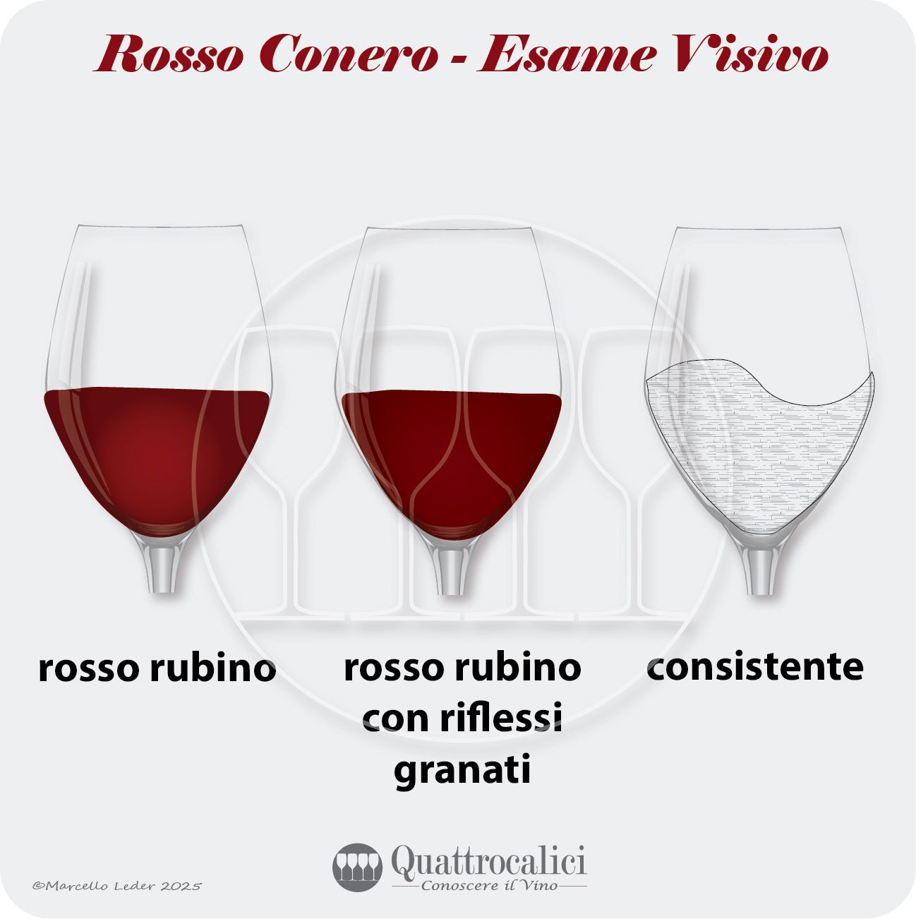 L'esame visivo del Rosso Conero