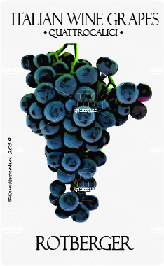 rotberger vitigno